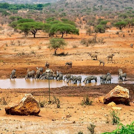 Kilaguni Serena Safari Lodge Tsavo 외부 사진
