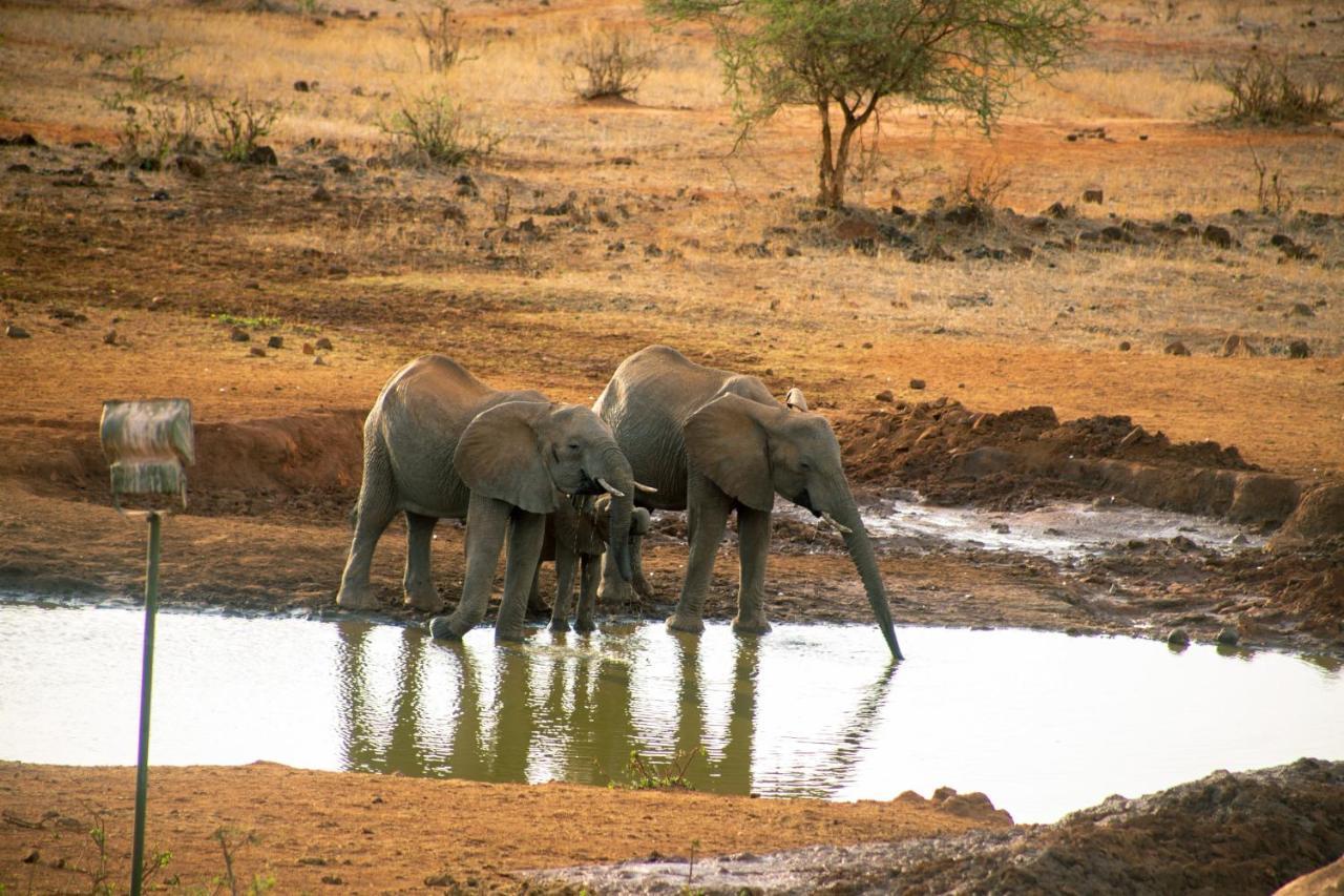 Kilaguni Serena Safari Lodge Tsavo 외부 사진