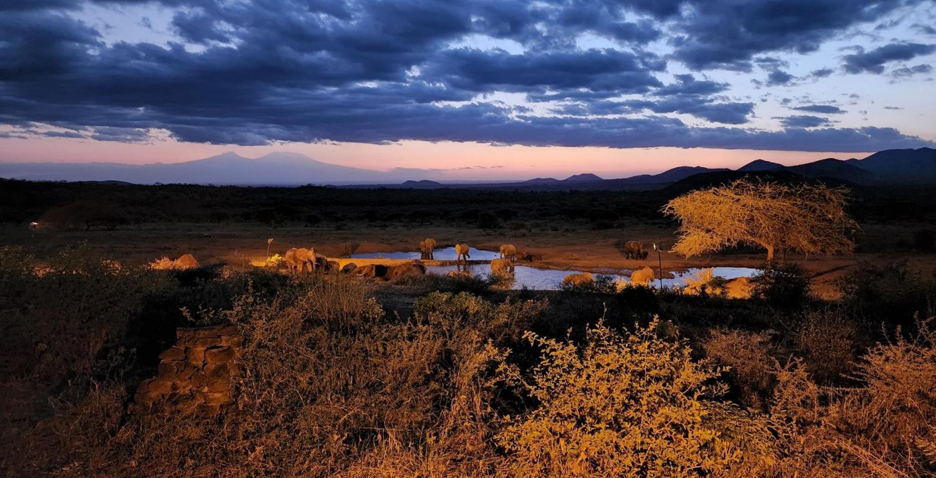 Kilaguni Serena Safari Lodge Tsavo 외부 사진