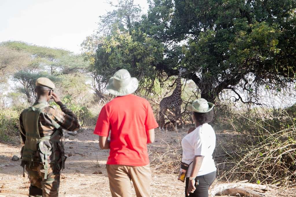 Kilaguni Serena Safari Lodge Tsavo 시설 사진