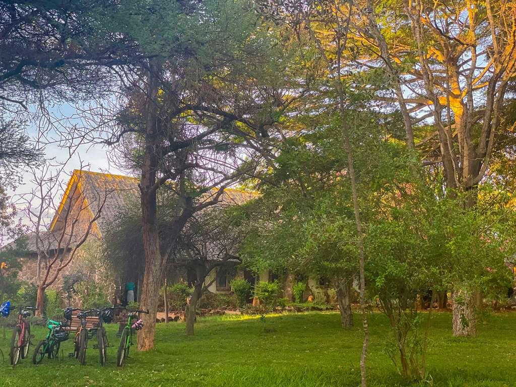 Kilaguni Serena Safari Lodge Tsavo 시설 사진