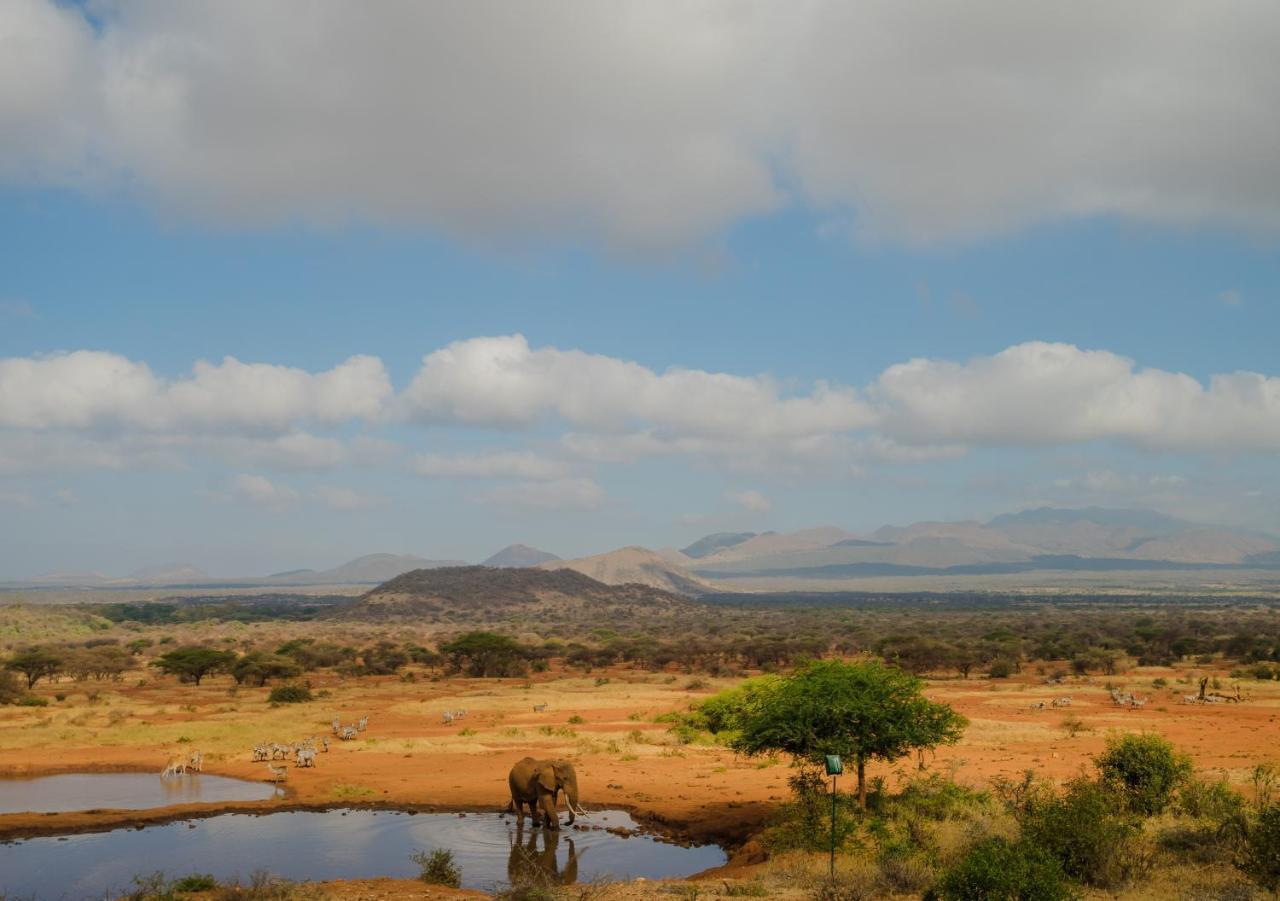 Kilaguni Serena Safari Lodge Tsavo 외부 사진